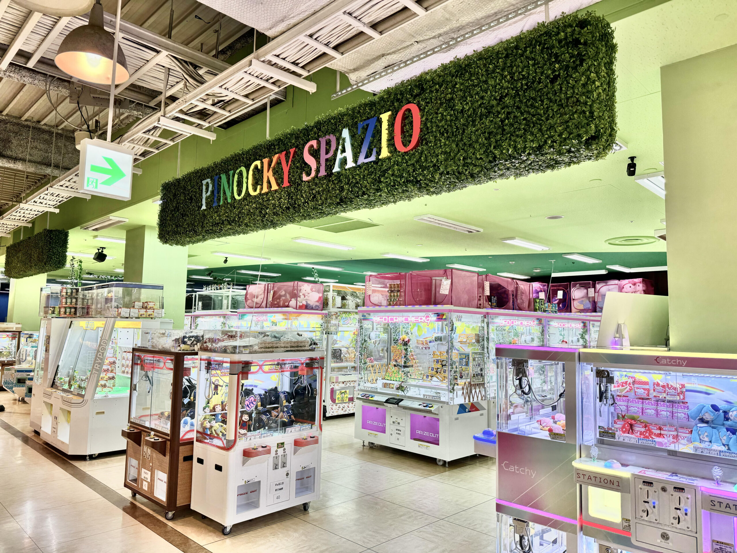 ピノッキースパティオ大竹店