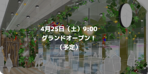 ピノスパあびこ駅前店